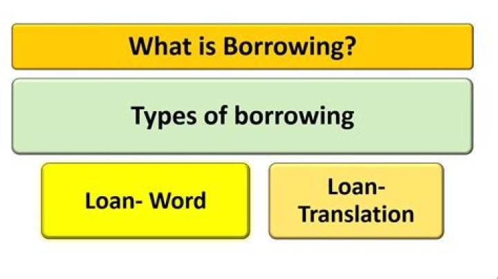 A Comprehensive Guide To Borrowing From Access Bank