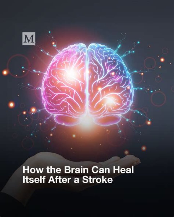 Can brain repair itself after stroke?