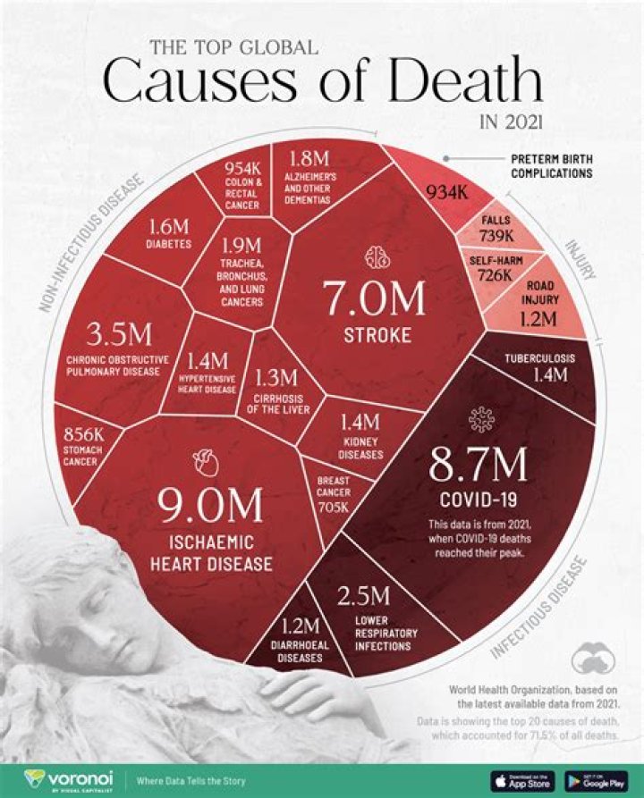 Cause Of Death Links To Accident |
