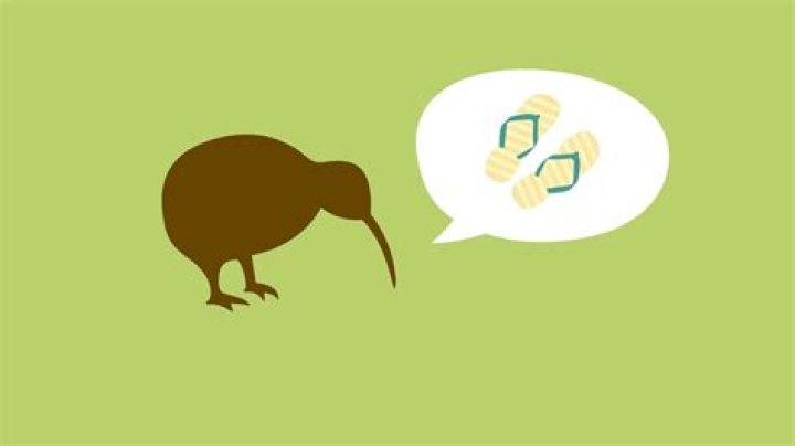 Chur bro! 45 Words and phrases every New Zealand tourist should know