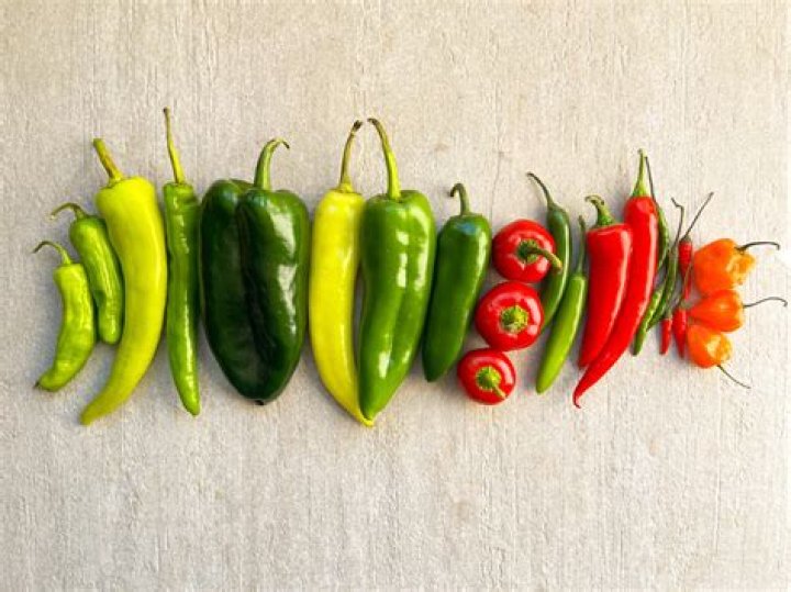 Decoding The Enigma Of "When Does Chili Get Fired"