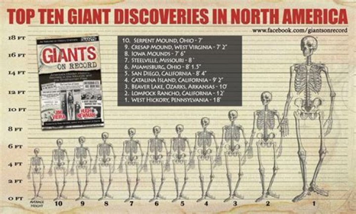 Discoveries In Bellingham Height Feet