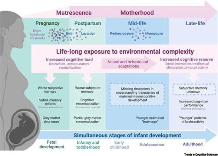 Discoveries In Motherhood, Farm Life, And Personal Growth