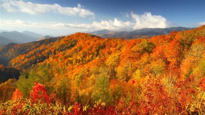 Discoveries In The Smoky Mountains With Heather Chastain
