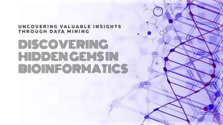 Hidden Gems And Valuable Insights