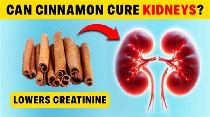 Is cinnamon good for your kidneys?