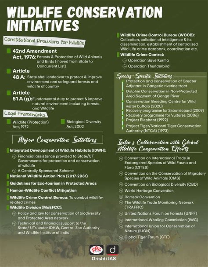 Jack Hanna's Legacy In Wildlife Conservation