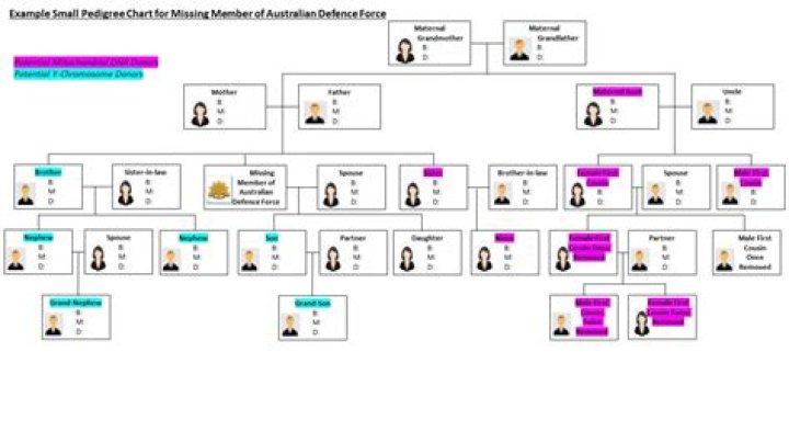 Kardashian Family: A Comprehensive Guide From Oldest To Youngest