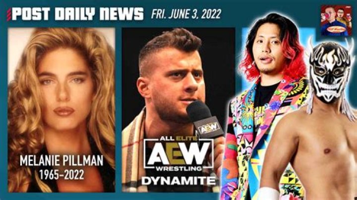 Meet Melanie Pillman ex-wife of WWE legend Brian Pillman