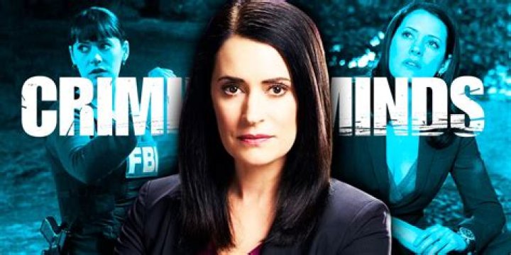 Paget Brewster's Kids: Motherhood And Family Life Of The Criminal Minds Actress
