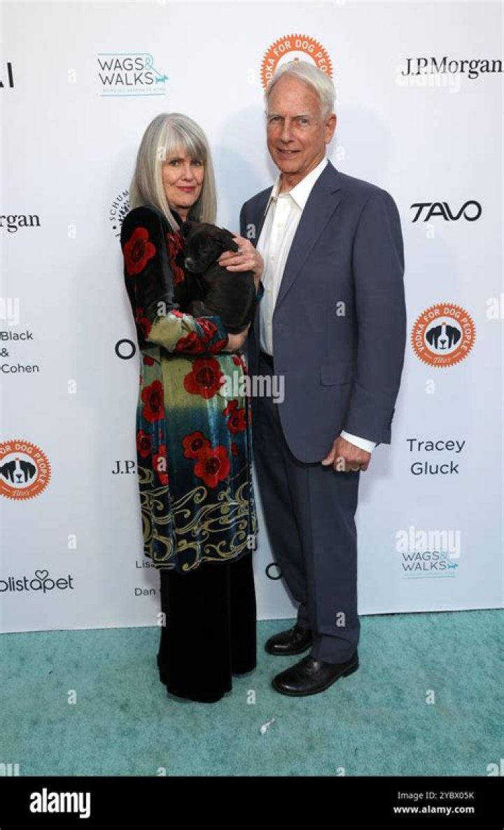 Pam Dawber's Current Presence And Legacy