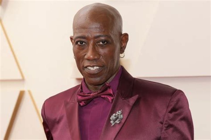 Unveiling The Extraordinary World Of Wesley Snipes: Discoveries And Insights