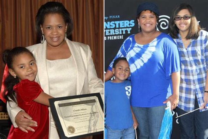Unveiling The Life Of Chandra Wilson's Partner