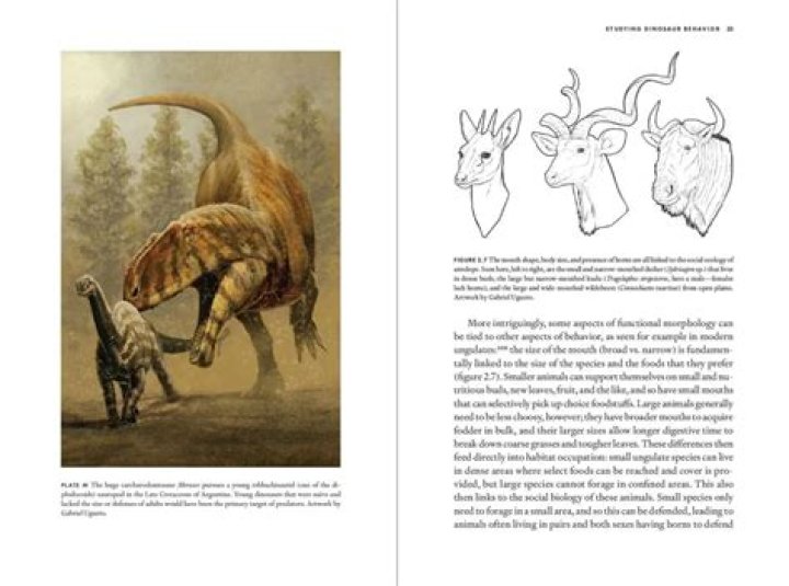 Unveiling The Private Life Of Camera Ashe: Uncovering The Enigma