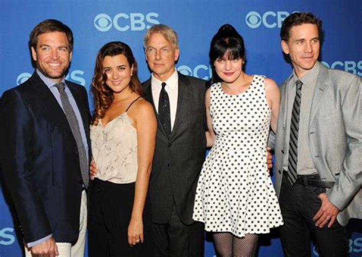 Unveiling The Reasons Behind Mark Harmon's Exit From NCIS